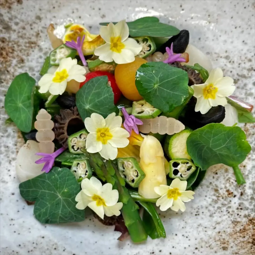 creation thumb for Summer Salad