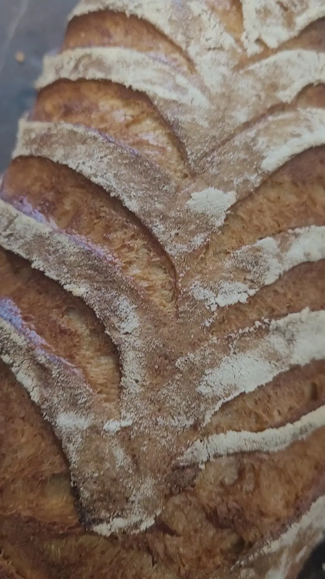 creation thumb for Splet bread