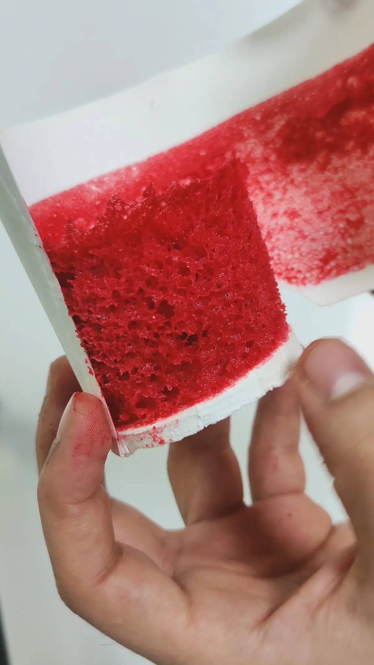 creation thumb for Strawberry microwave sponge | microwave sponge| micro sponge