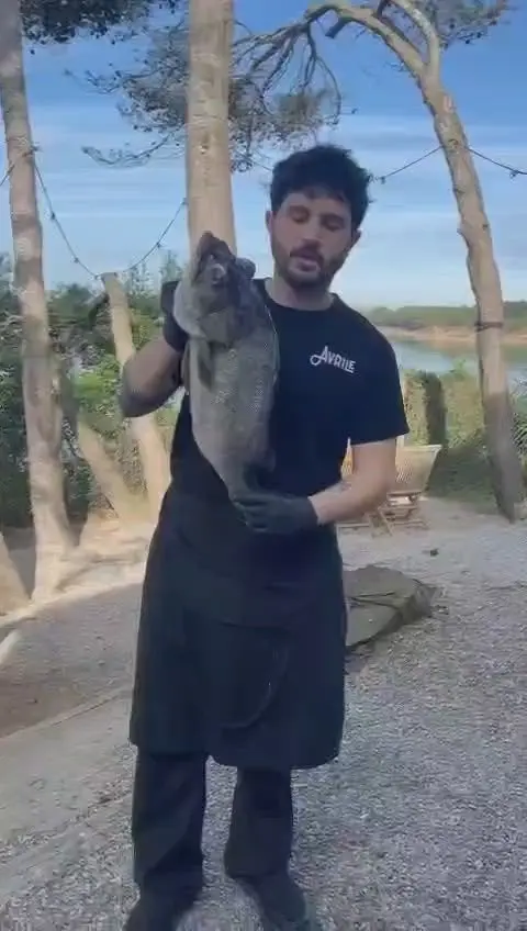 creation thumb for Cantabrian gray grouper