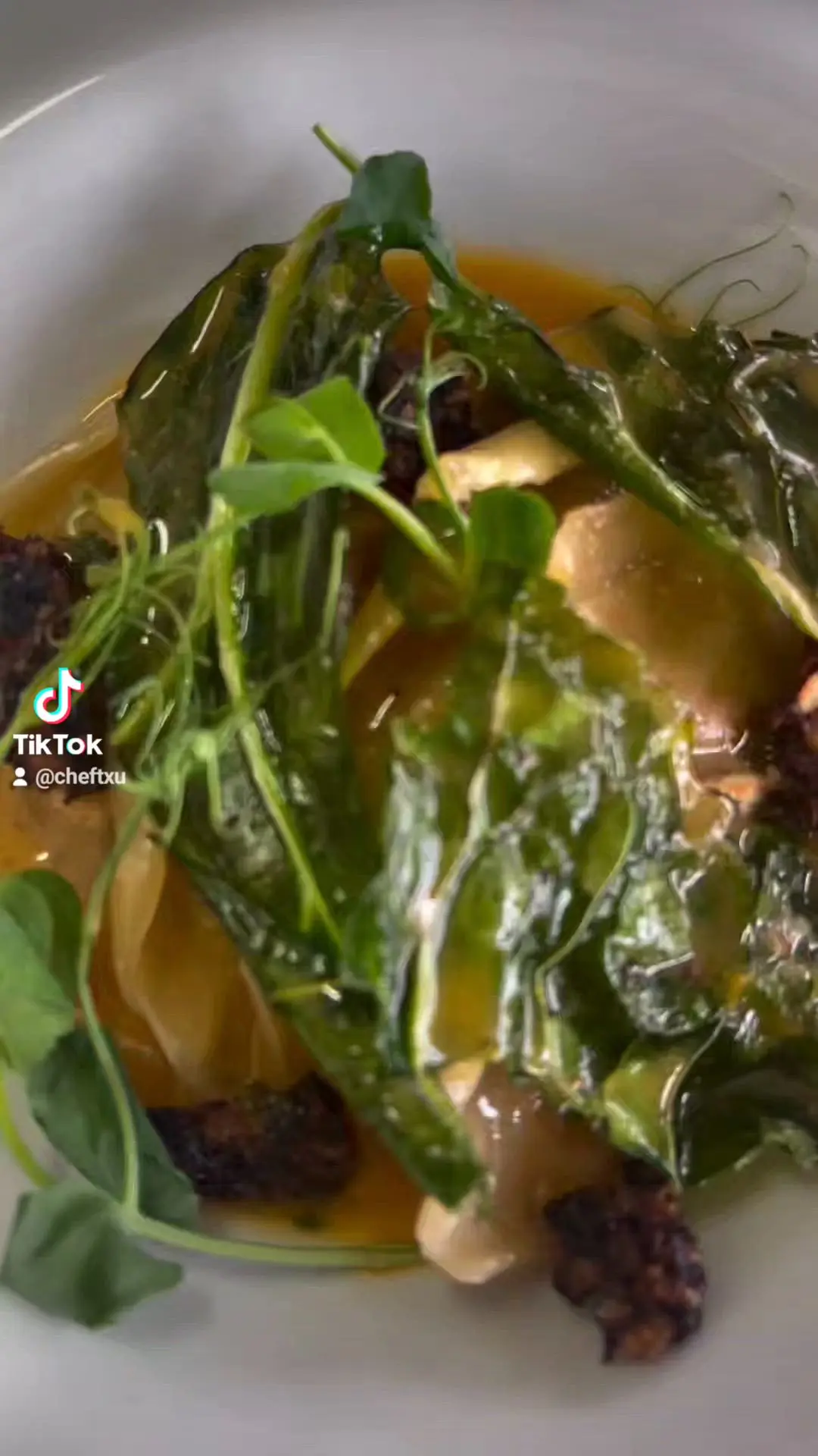 creation thumb for Mountain stew gyozas