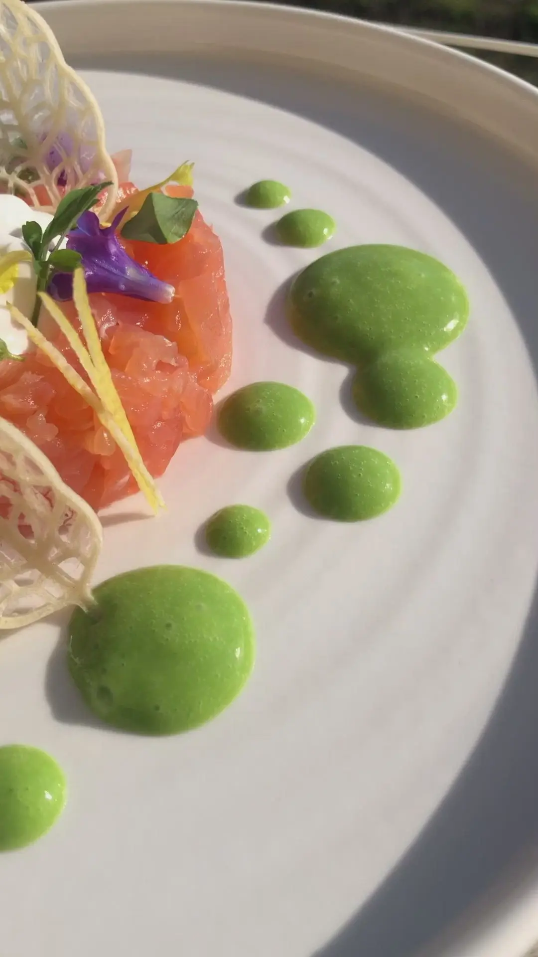 creation thumb for Salmon tartare with mozzarella foam
