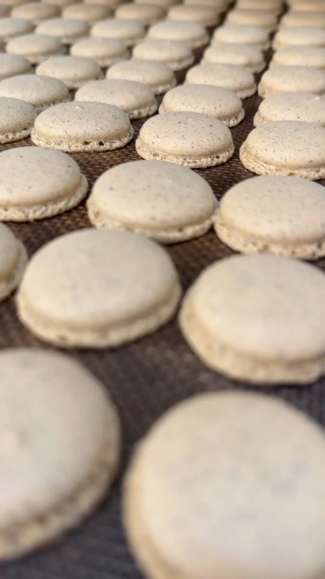 creation thumb for Earl Grey Macarons