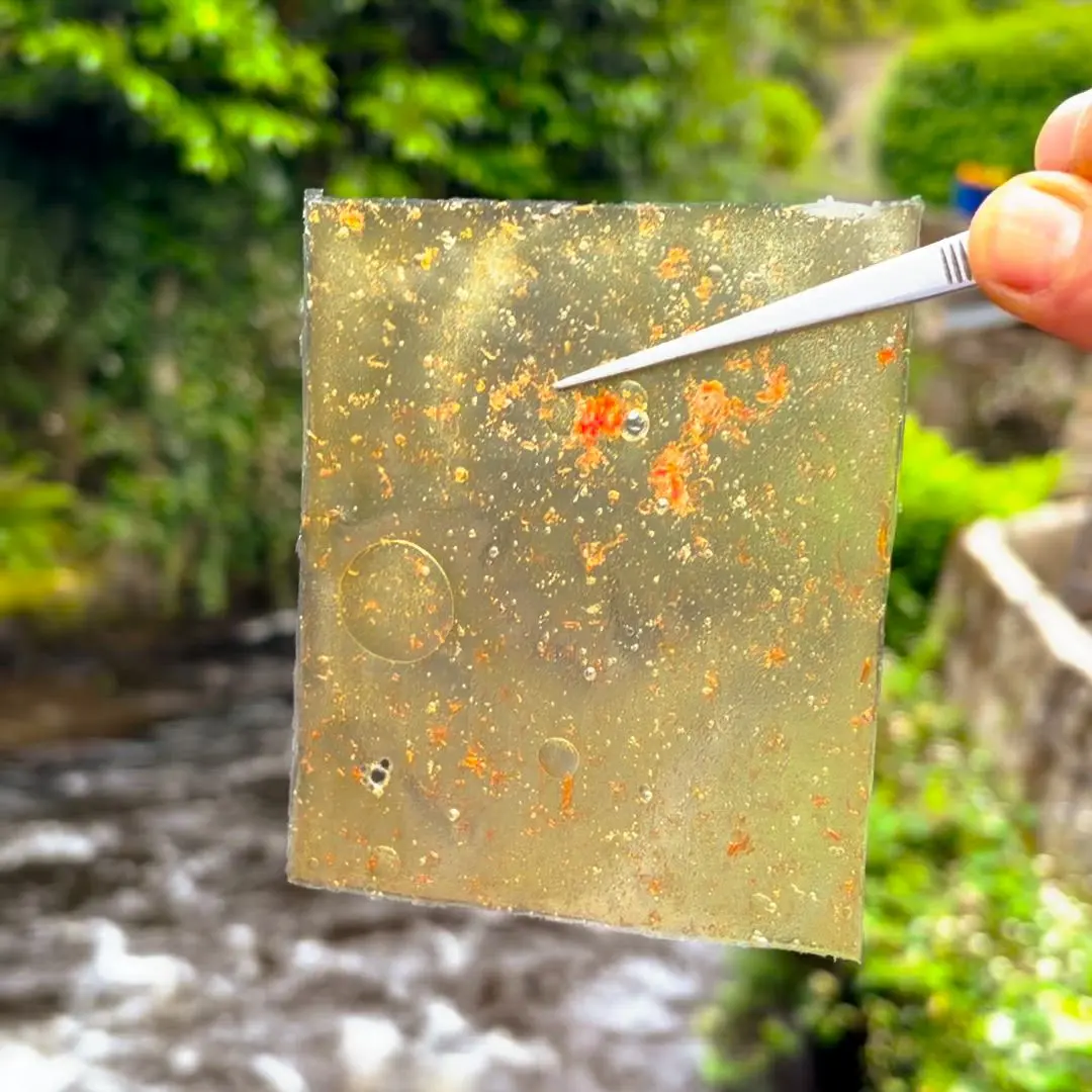 creation thumb for Translucent Tomato Chips 🍅 