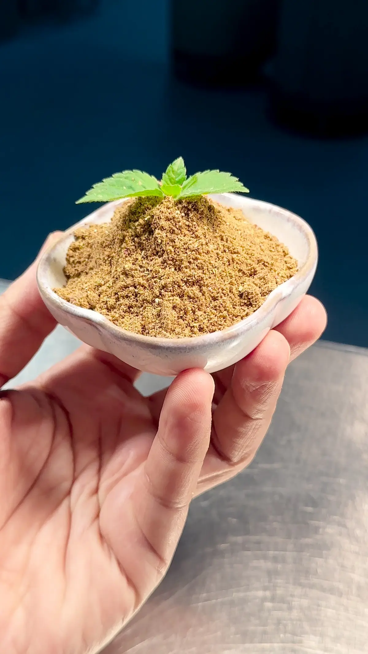 creation thumb for Masala (Blend of spices)