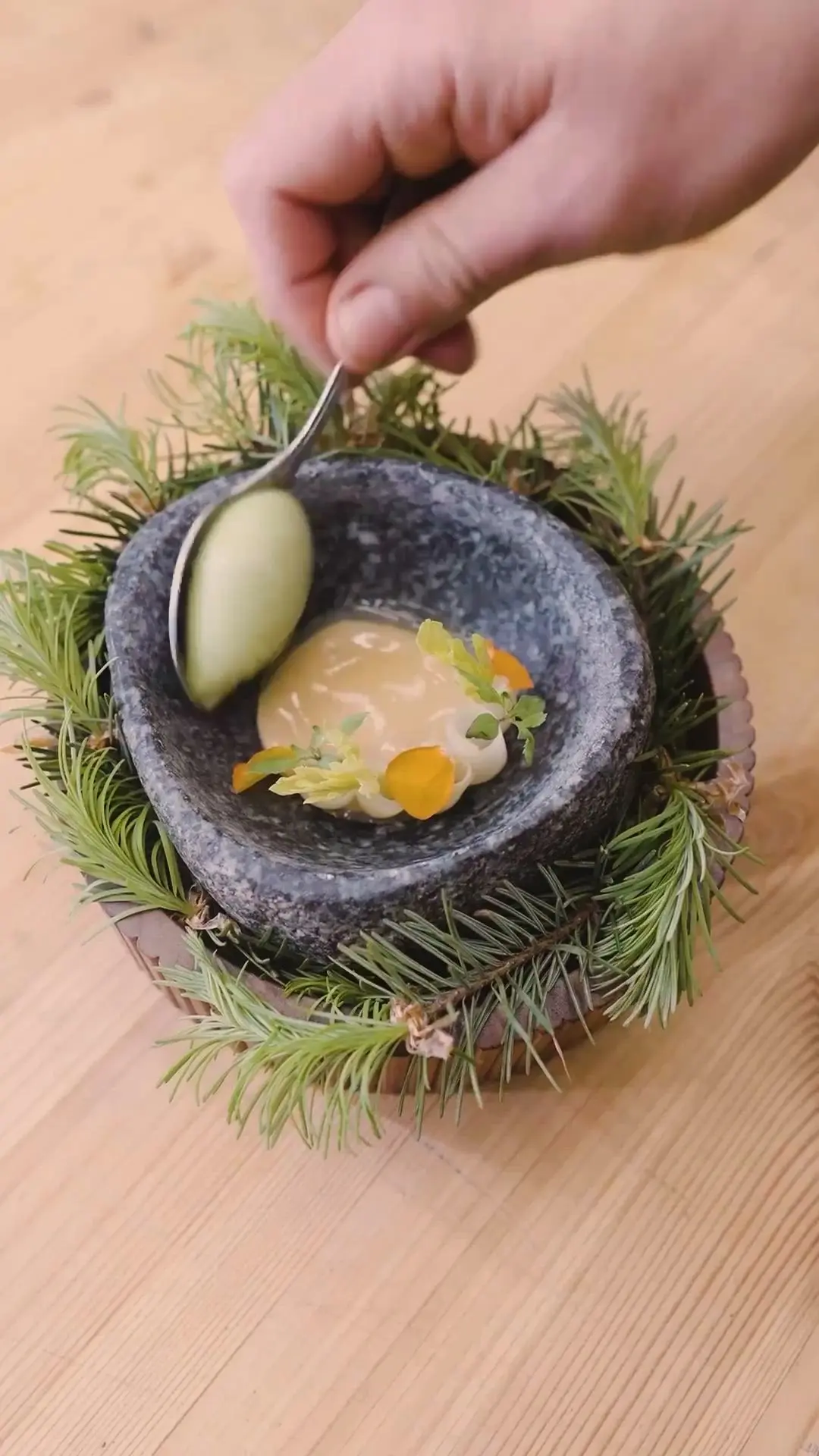 creation thumb for Douglas Fir Sorbet