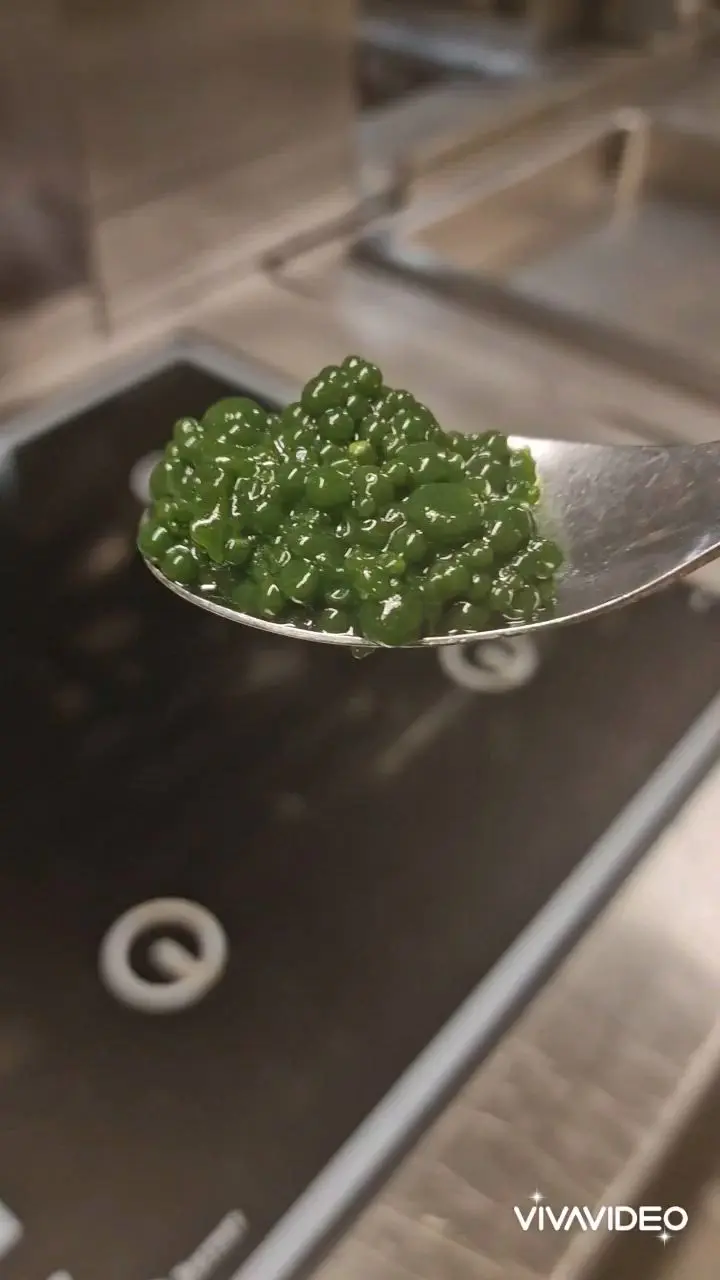 creation thumb for Basil pearls
