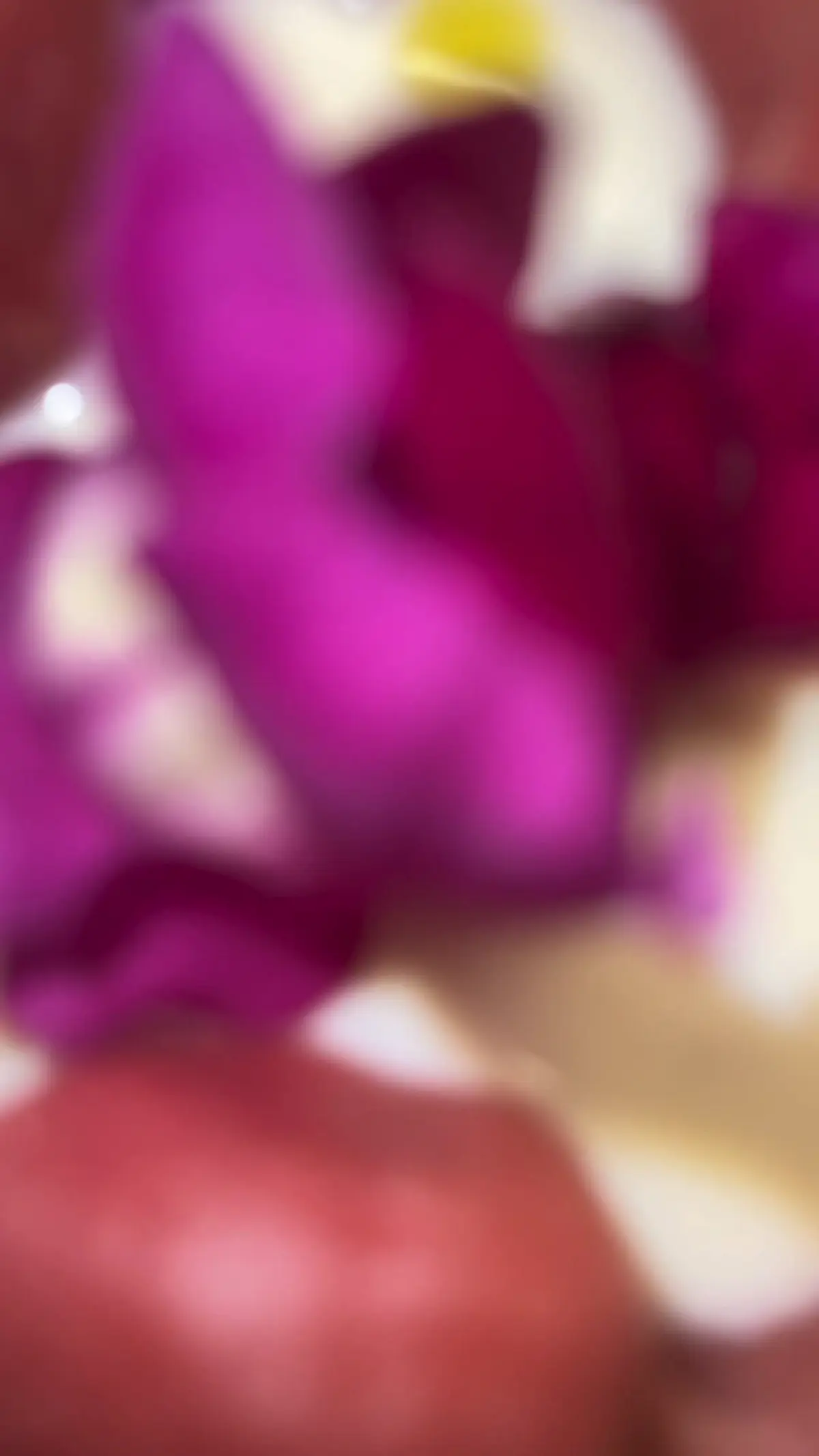 creation thumb for Hühnerravioli