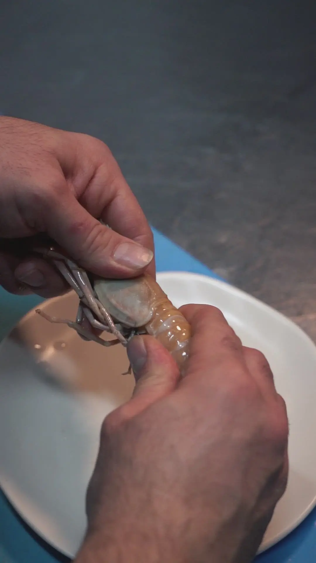 creation thumb for Spaghettone with scampi and saffron