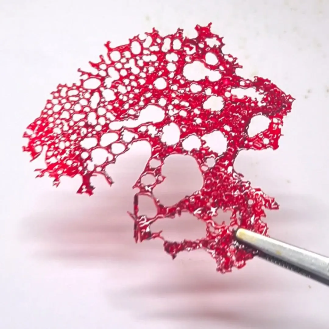 creation thumb for Crunchy Sweet Coral