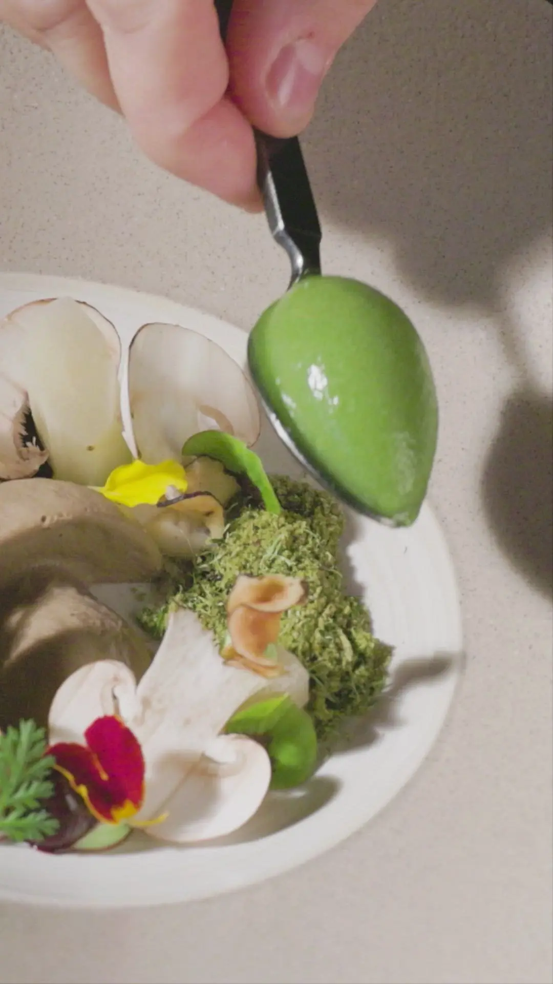 creation thumb for Mushrooms | Salsify | parsley | Blueberry