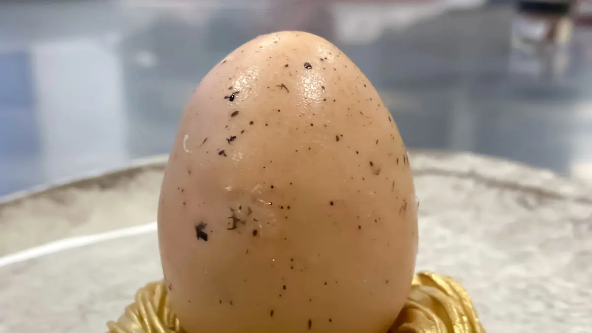 creation thumb for “Egg” with coconut & passionfruit