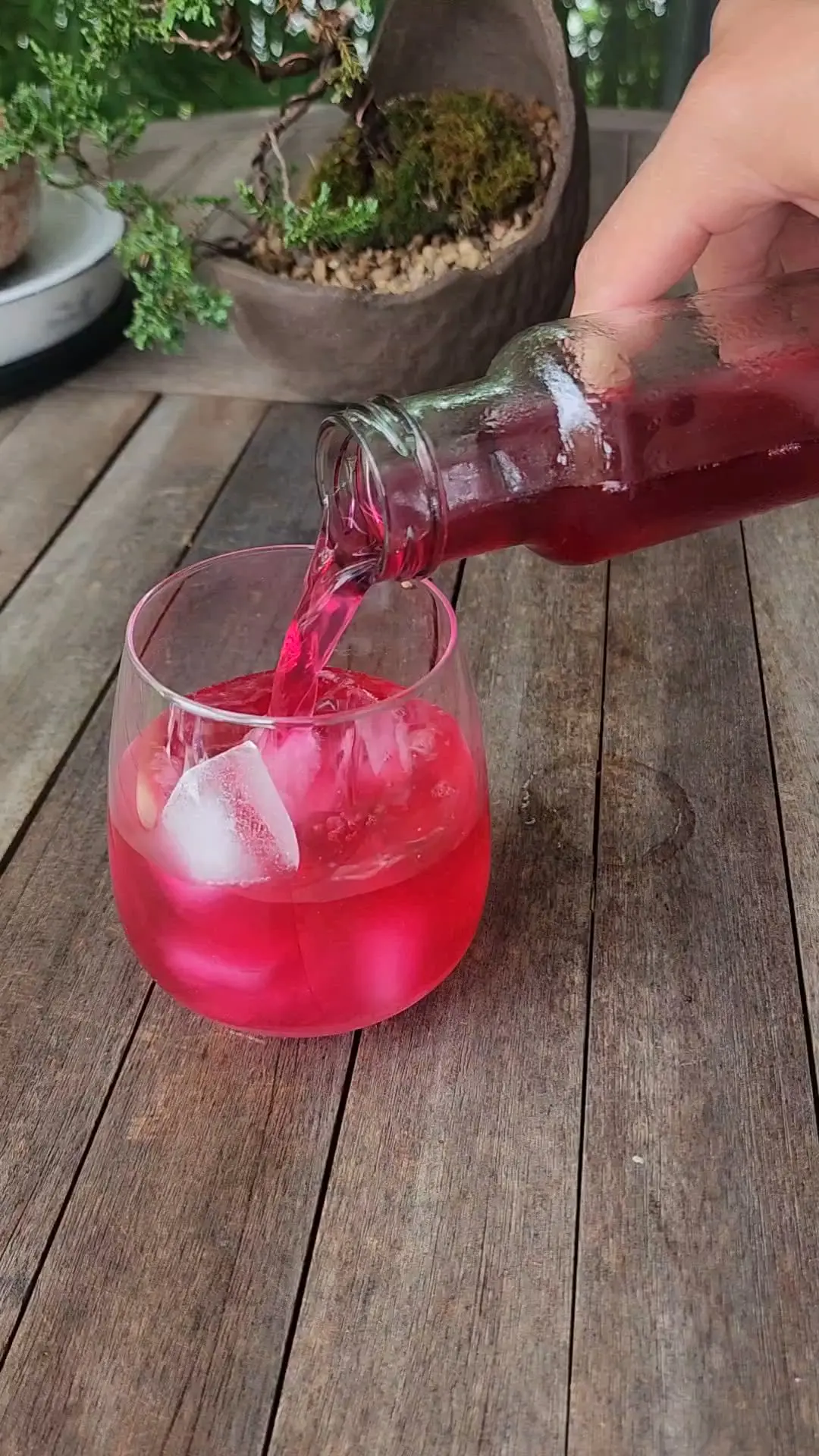 creation thumb for Kombucha au shiso