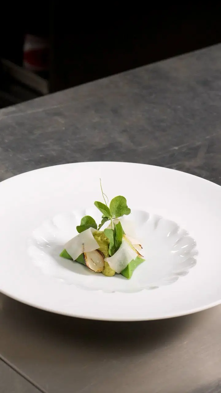 creation thumb for Ravioli with Peas, Scallion, and Lettuce