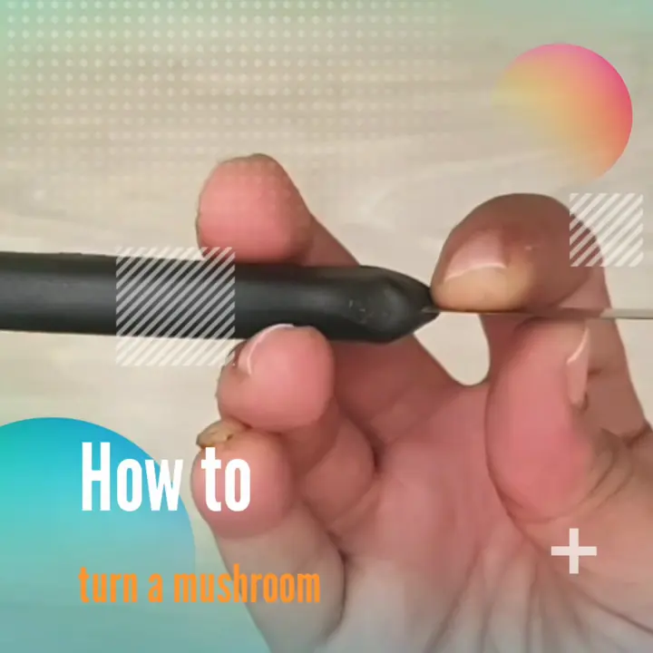 creation thumb for How to turn a mushroom