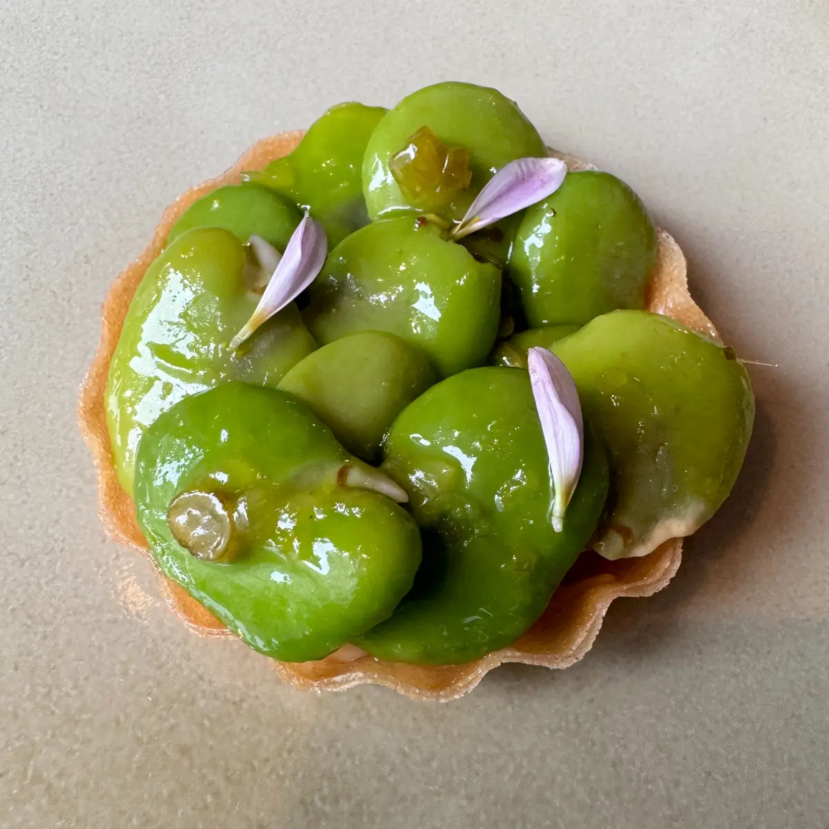 creation thumb for Tartalette with Boemboe Bali, Bread Crumbs & Fava Bean Relish