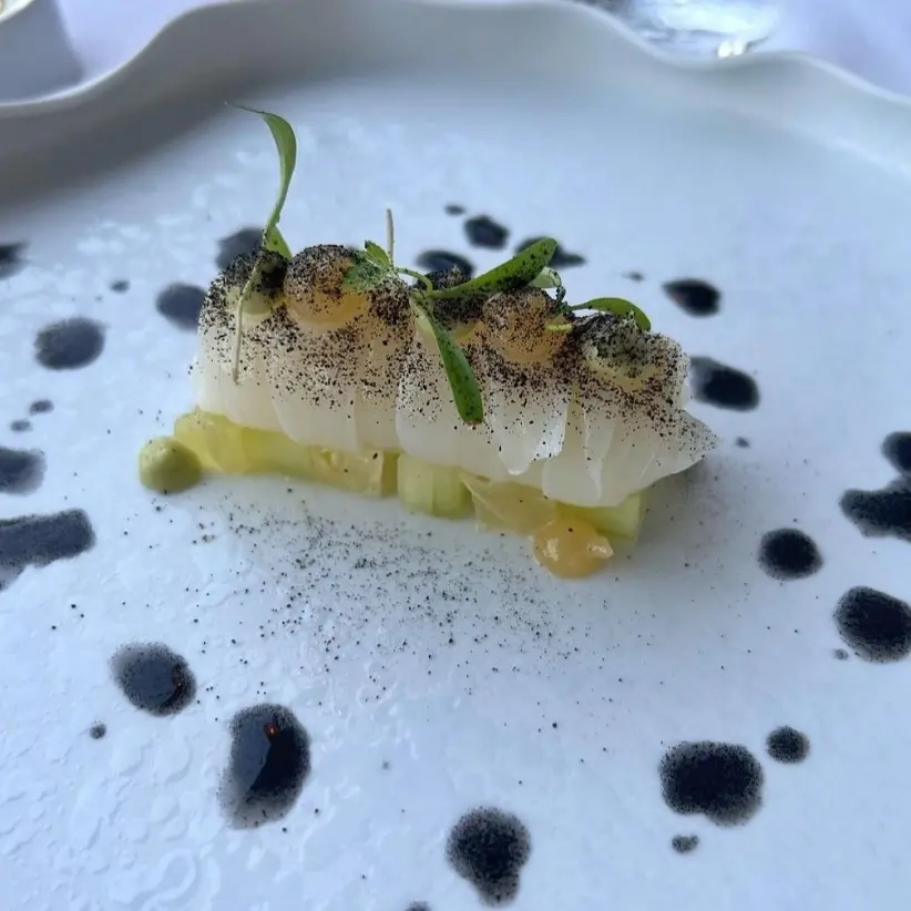 creation thumb for Cuttlefish, avocado mayo, lemon gel, squid ink oil