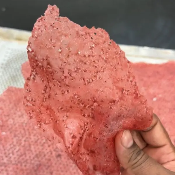 creation thumb for Sugar-free Strawberry Tuile
