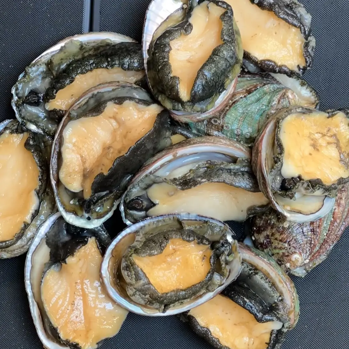creation thumb for Abalone fileting & cooking