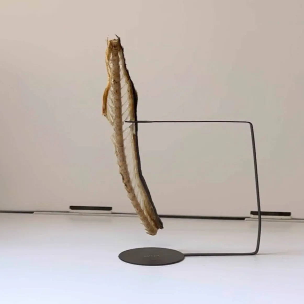 creation thumb for Crispy Fish Bone Cracker