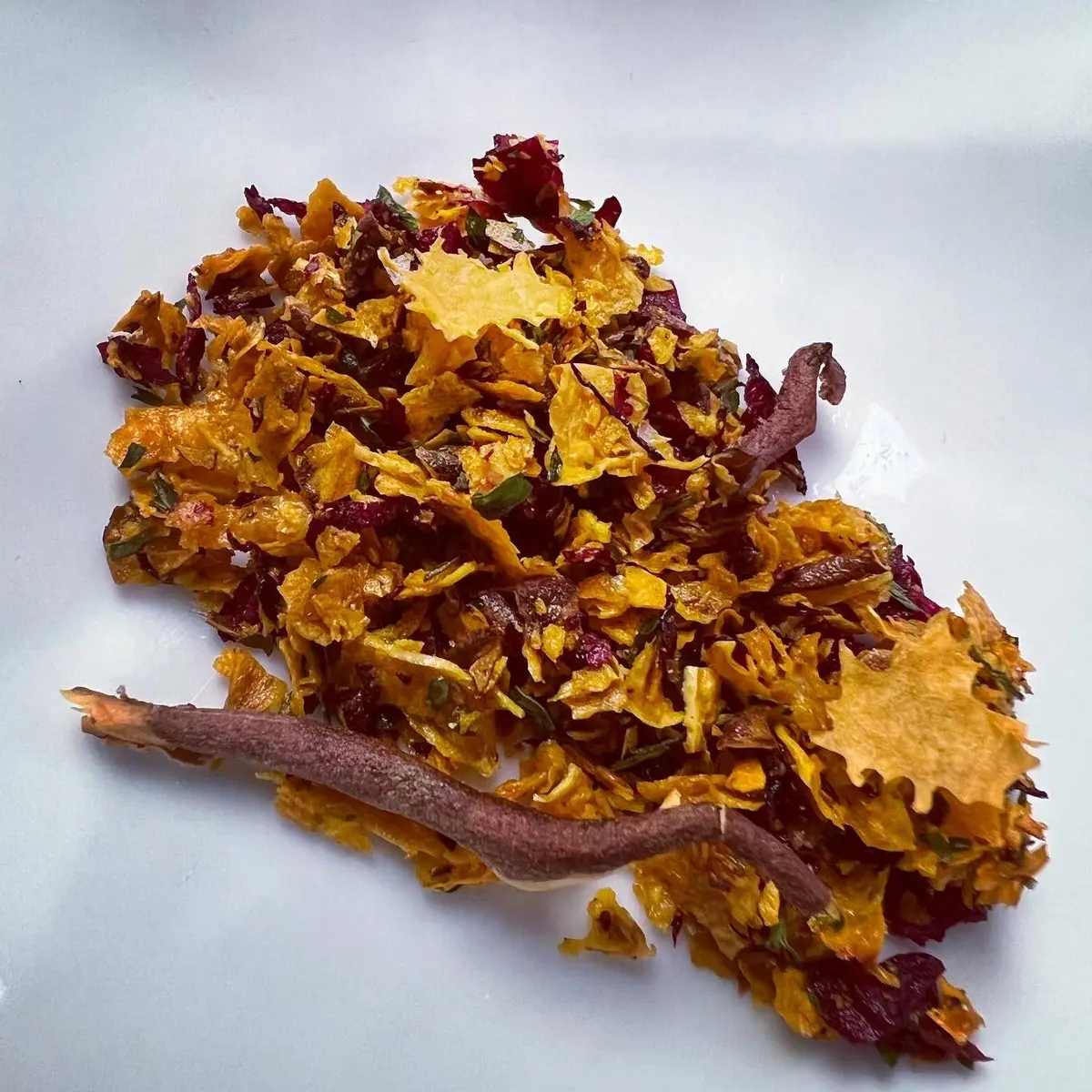 creation thumb for Autumn leaf litter 🍁🍂🍃🌿
