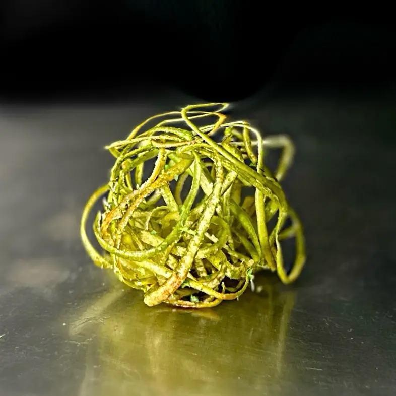 creation thumb for Garnish 