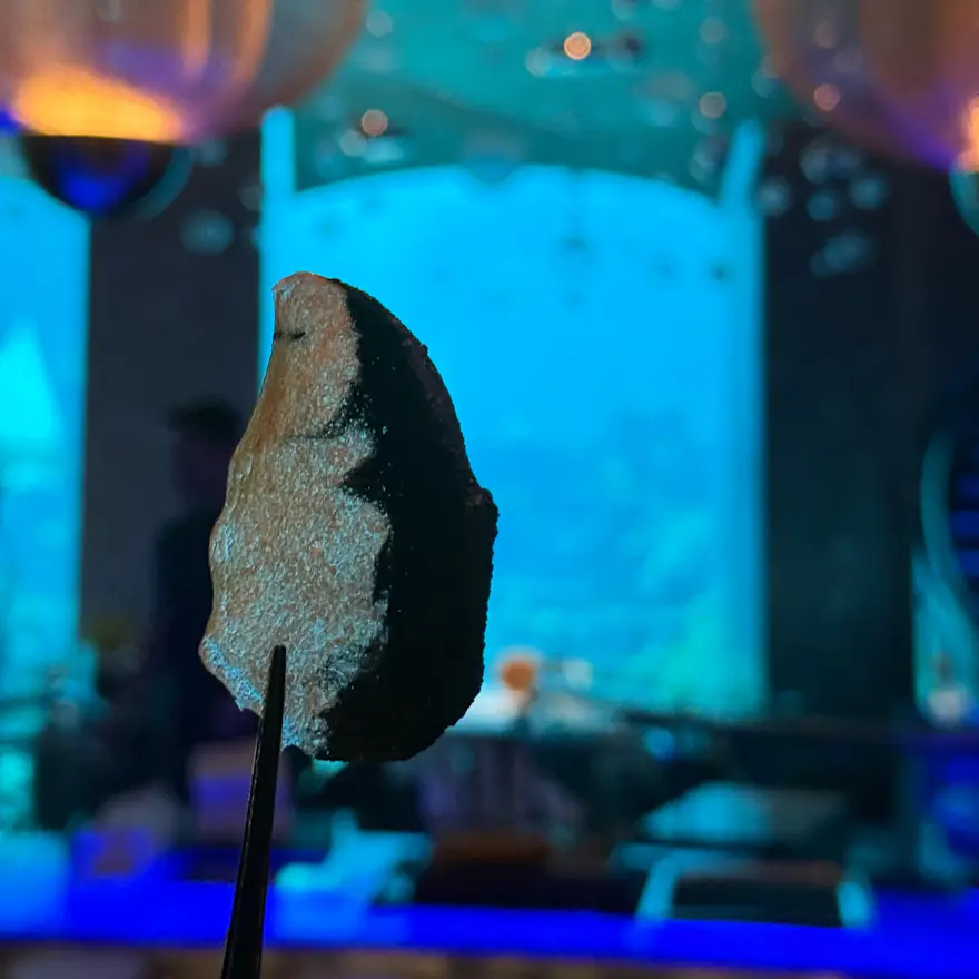 creation thumb for Edible Oyster Shell 🦪