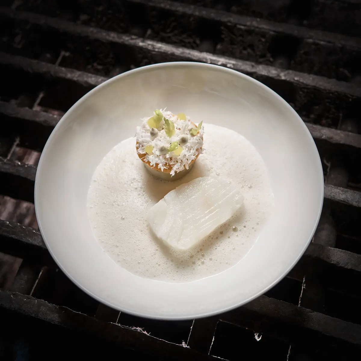 creation thumb for Hake - Young Coconut - Celeriac