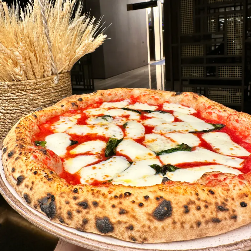 creation thumb for Sourdough Pizza (La Vera Pizza Napoletana)