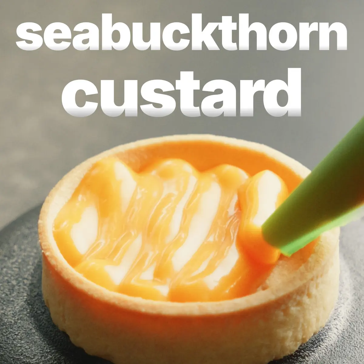 creation thumb for Seabuckthorn Custard