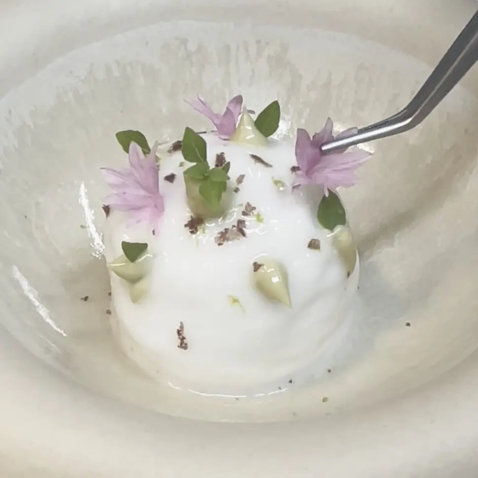 creation thumb for White Tomato Foam