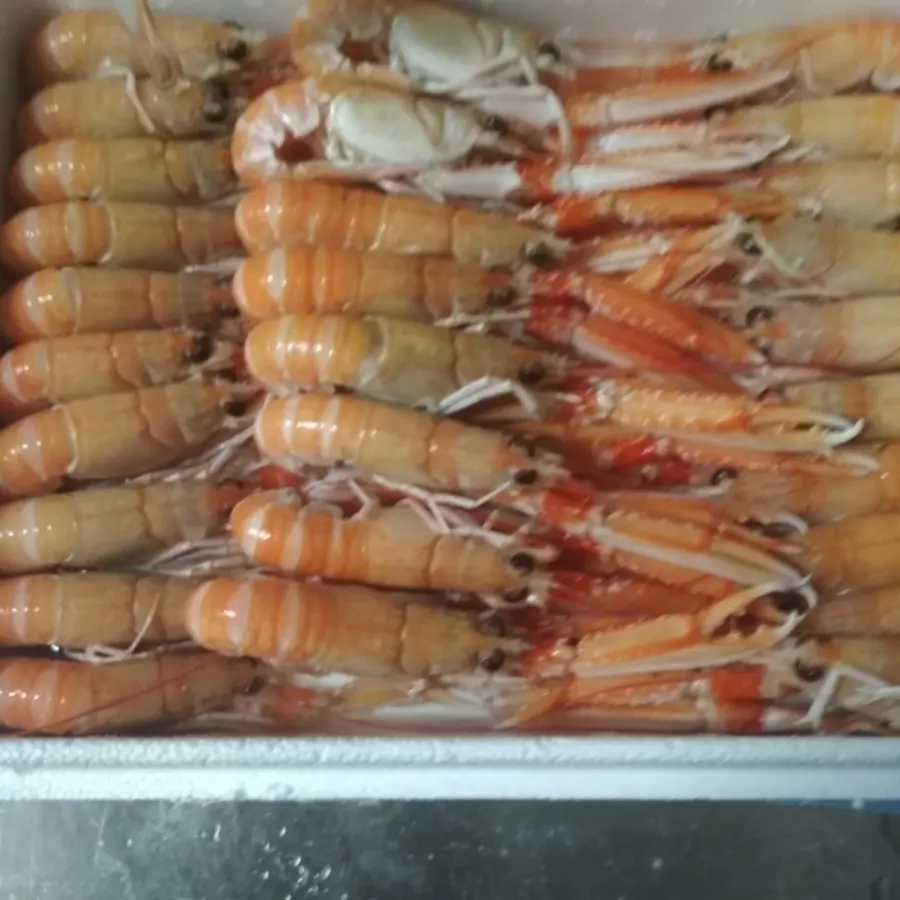 creation thumb for Ma che belli e buoni sti scampi