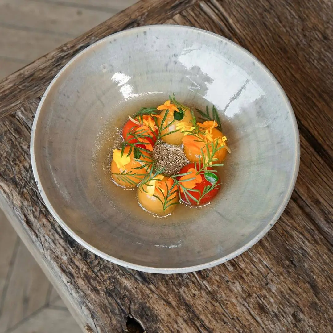 creation thumb for tomate | Mango | Cardamomo