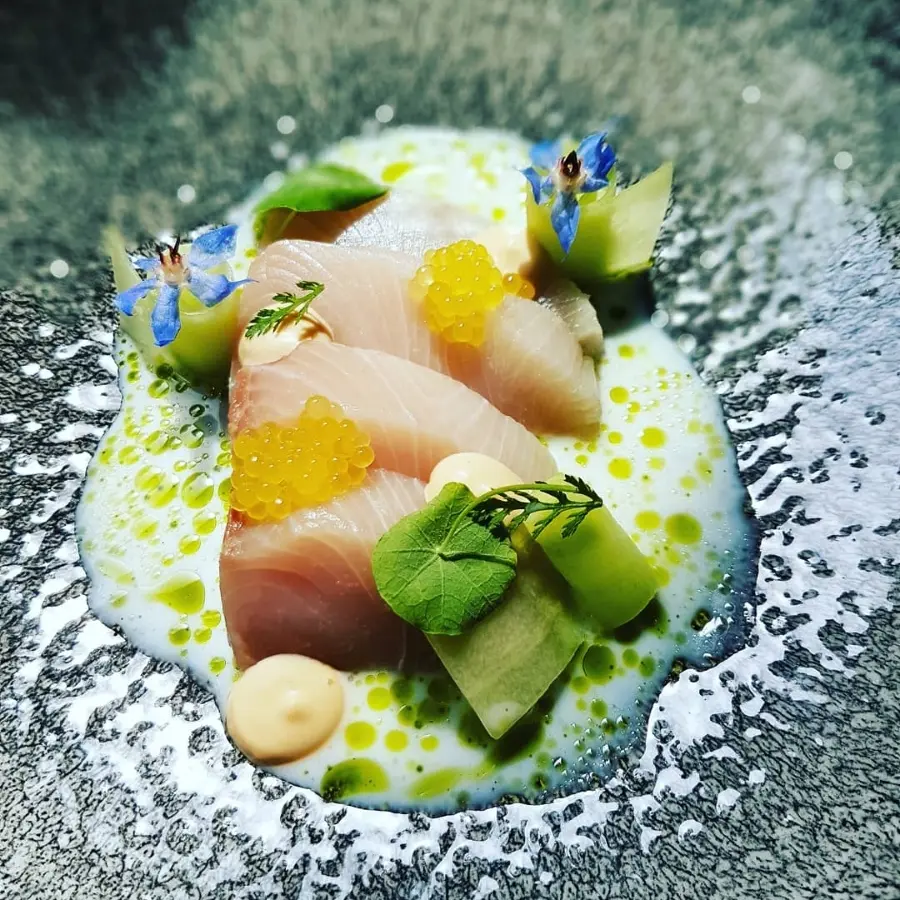 creation thumb for Hamachi - Buttermilch Sud - Schwarzwald MISO & Gartengurke