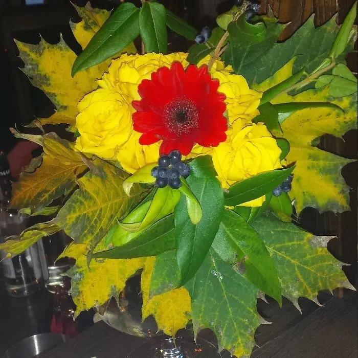 creation thumb for Hübsche Blumen für den Herbst