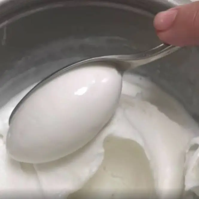 creation thumb for Creamy & Spicy Coconut Sorbet (Vegan) 🥥🌶