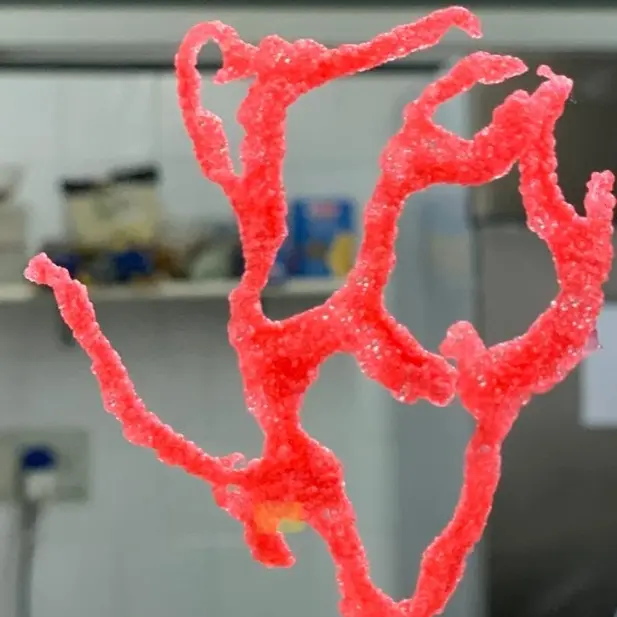 creation thumb for Red coral