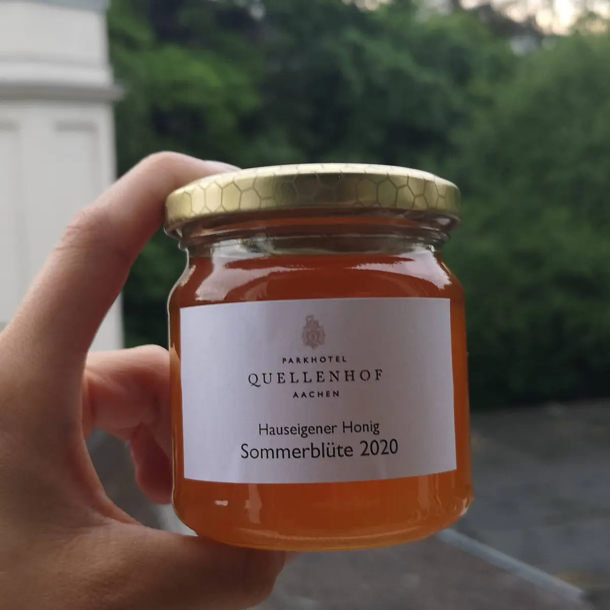 creation thumb for Quellenhof honey 🍯