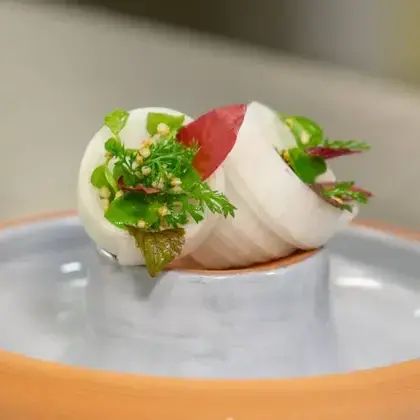 creation thumb for Radish Cone with Edible Wild Herbs