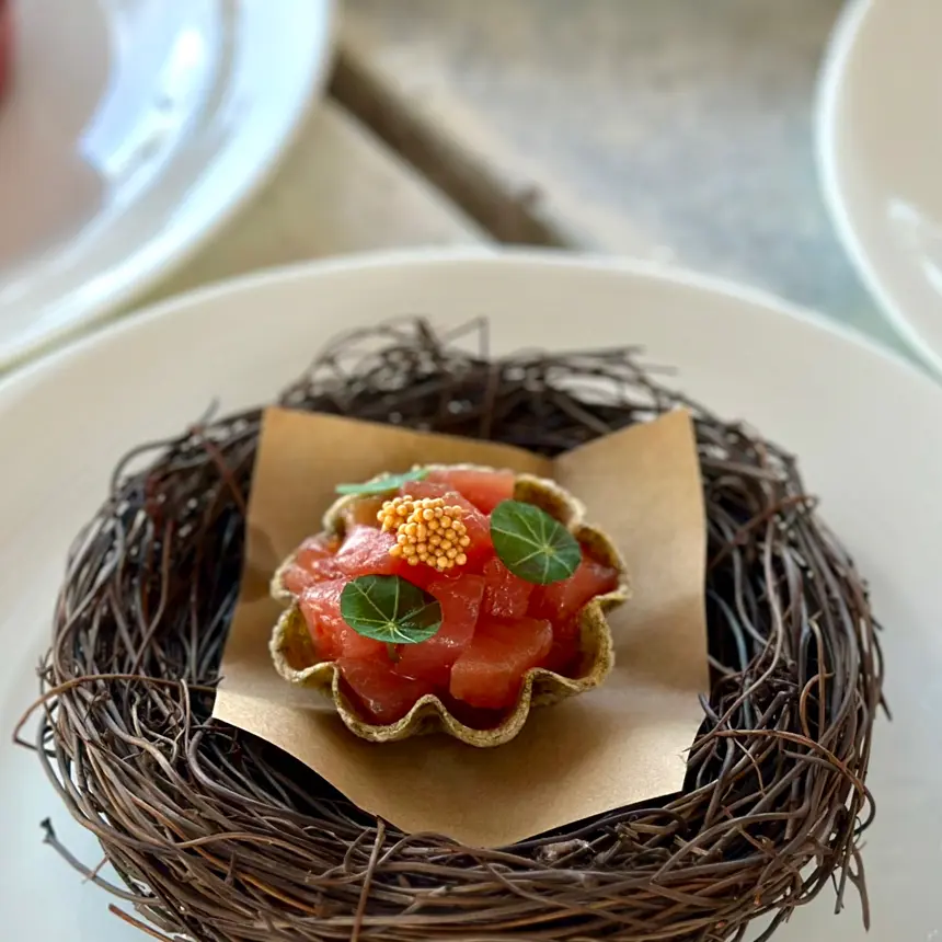 creation thumb for Tartellette di tonno