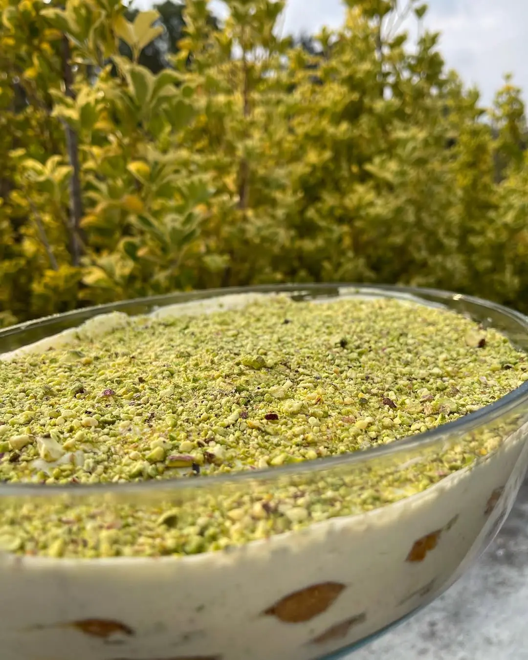 creation thumb for Pistachio Tiramisu