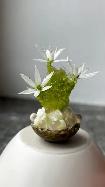 creation thumb for Seed bowl