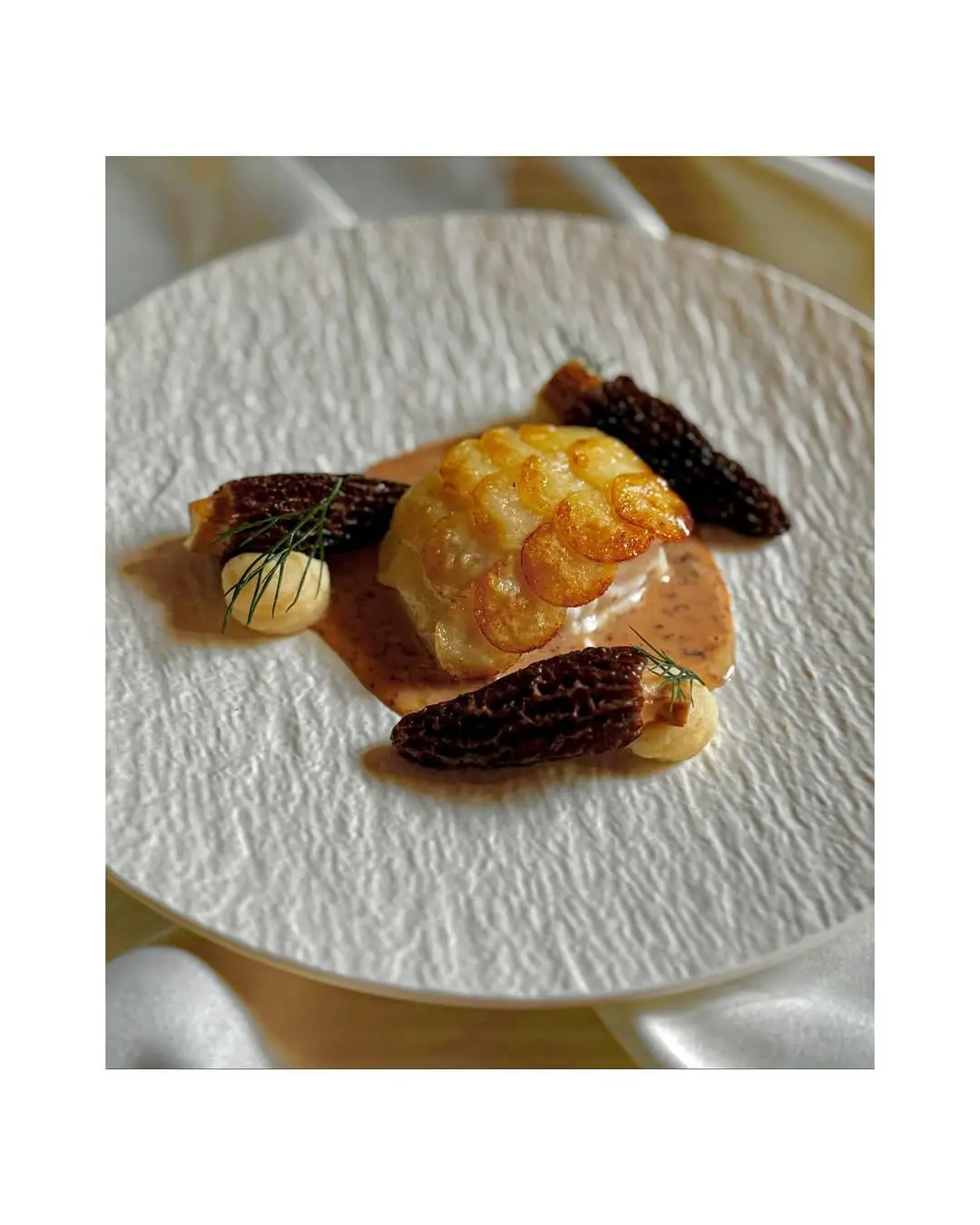 creation thumb for Pesce Lupo con Morelle e Salsa Beurre Blanc