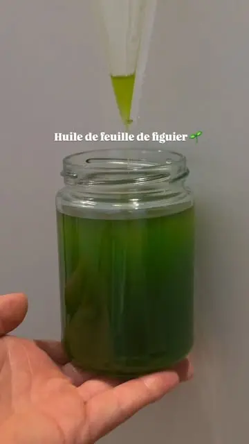 creation thumb for Huile de feuille de figuier
