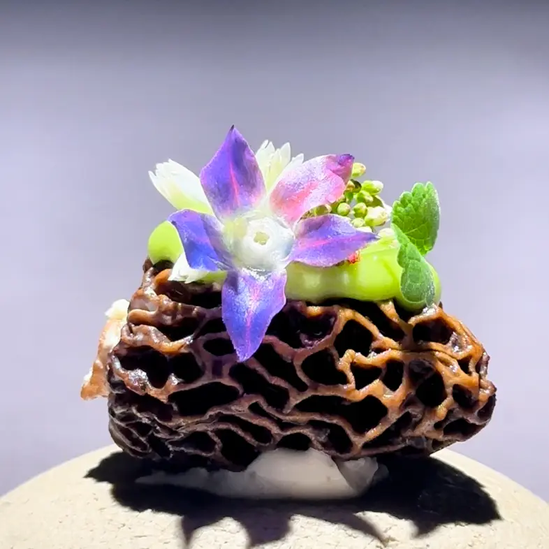 creation thumb for Stuffed Morels