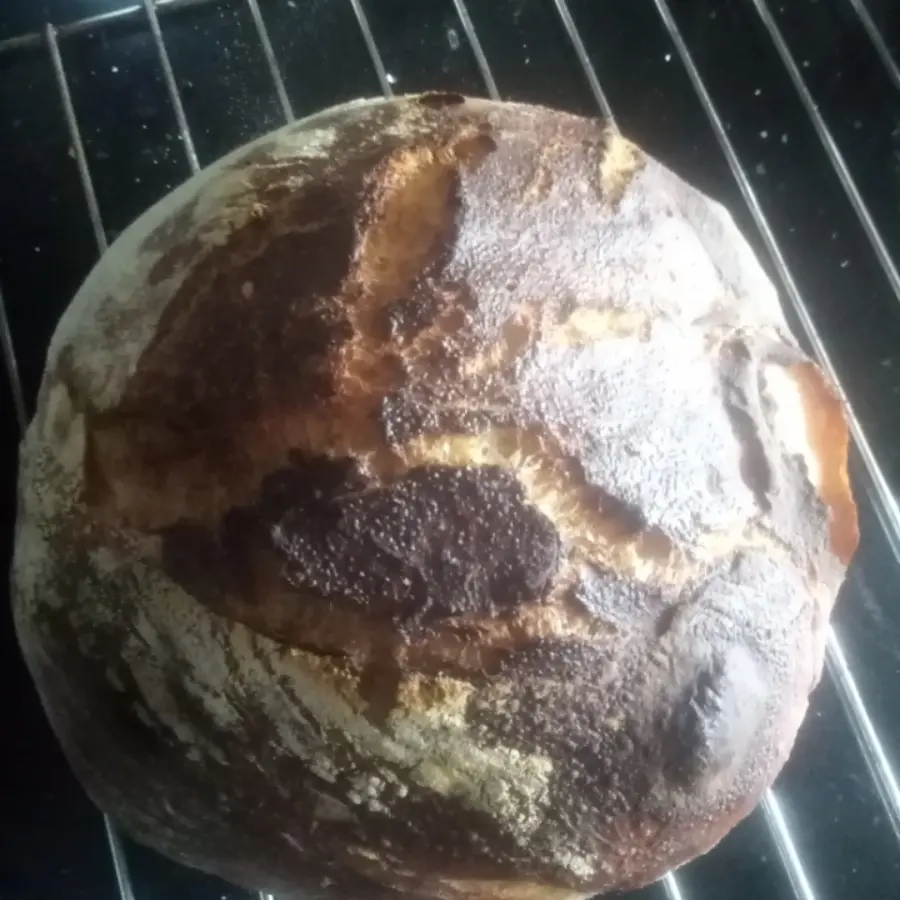 creation thumb for Poolish Bread