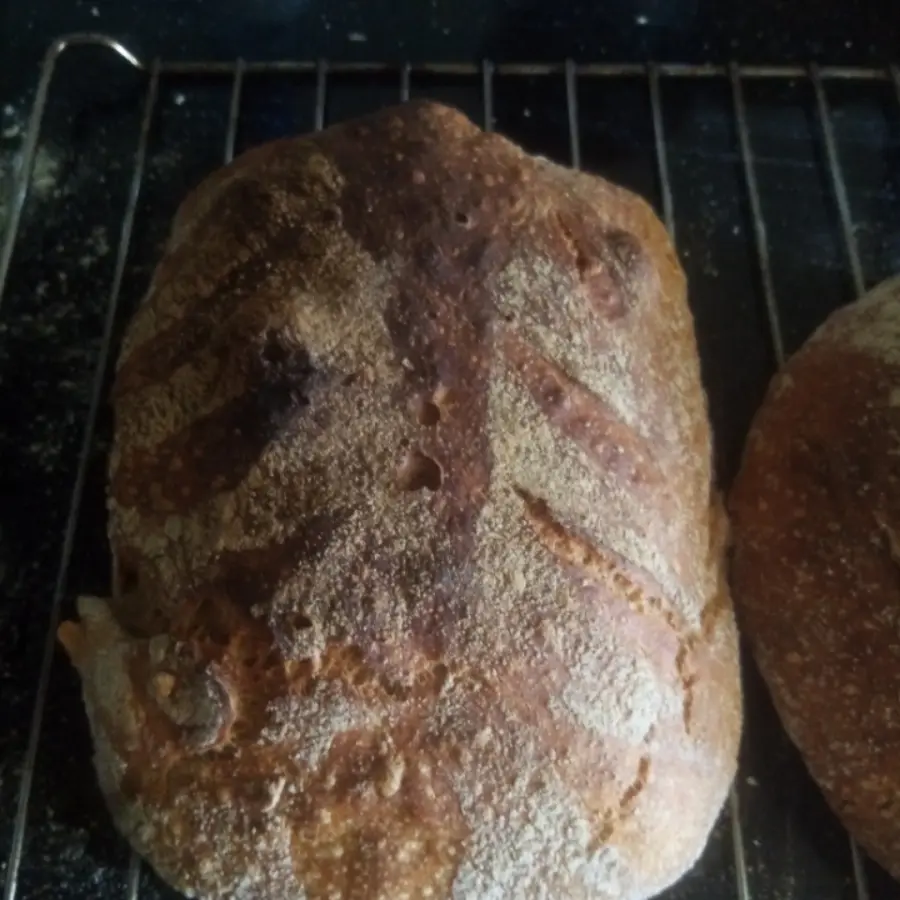 creation thumb for Spelt Bread with Biga