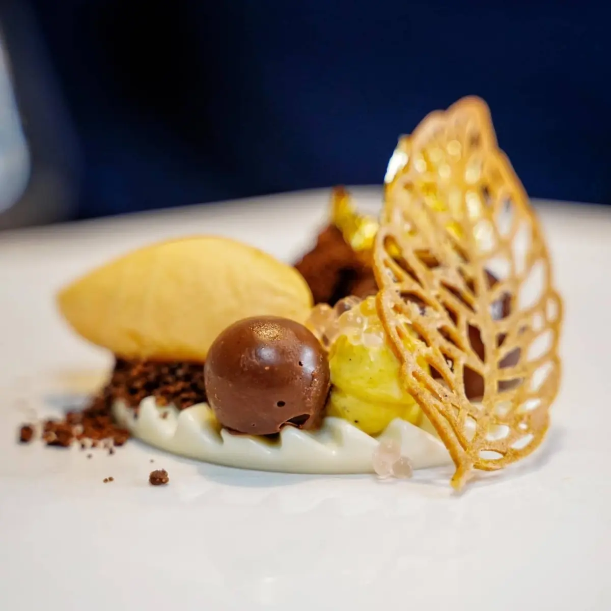 creation thumb for Alkermes "Opificio Nunquam" | Vaniglia Bourbon | Ricotta di pecora | Cioccolato Fondente "Noalya" 52%