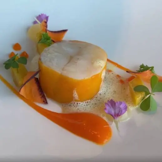 creation thumb for Mediterranean Hake, Carrots, Calabrian Bergamot Gel & Curry