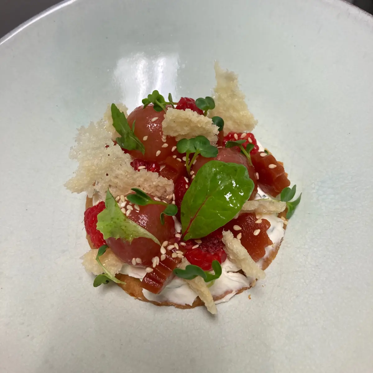 creation thumb for Torta di Parmigiano, Pomodoro e Lampone